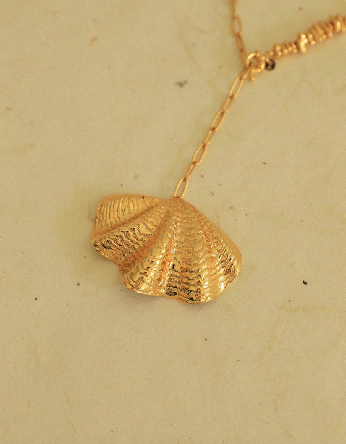 COLLIER - COQUILLE