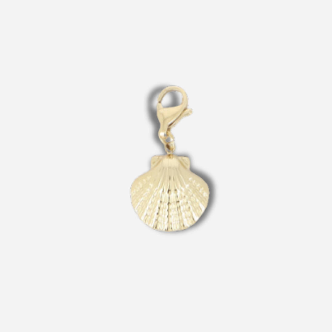 CHARM - COQUILLE SAINT JACQUES