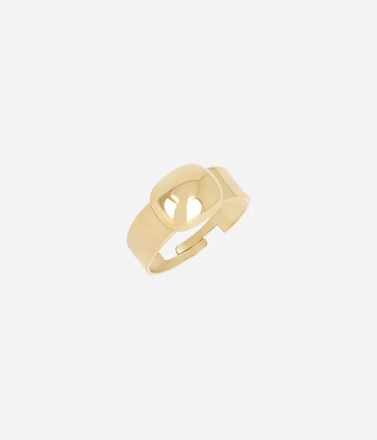 BAGUE - BERNIE