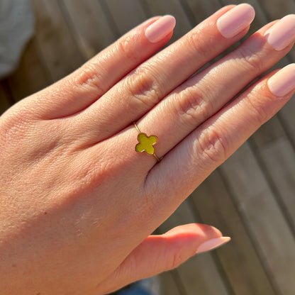 BAGUE ZAG - 19