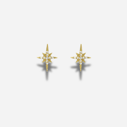 BOUCLES D'OREILLES - DIWALI