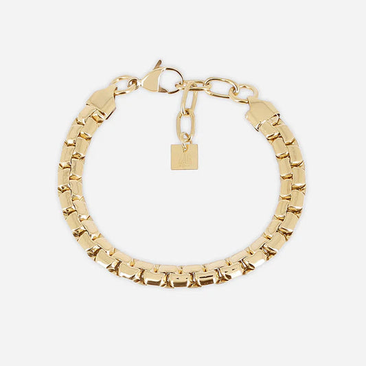 Bracelet Vana ZAG acier inoxydable doré maillons carrés femme Divinity Sète