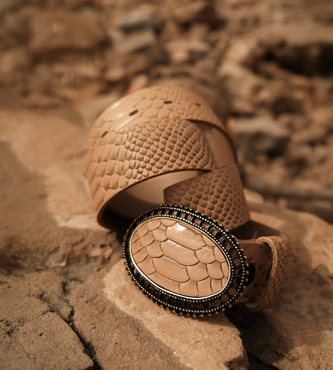 Ceinture Yolète effet python compatible boucles interchangeables