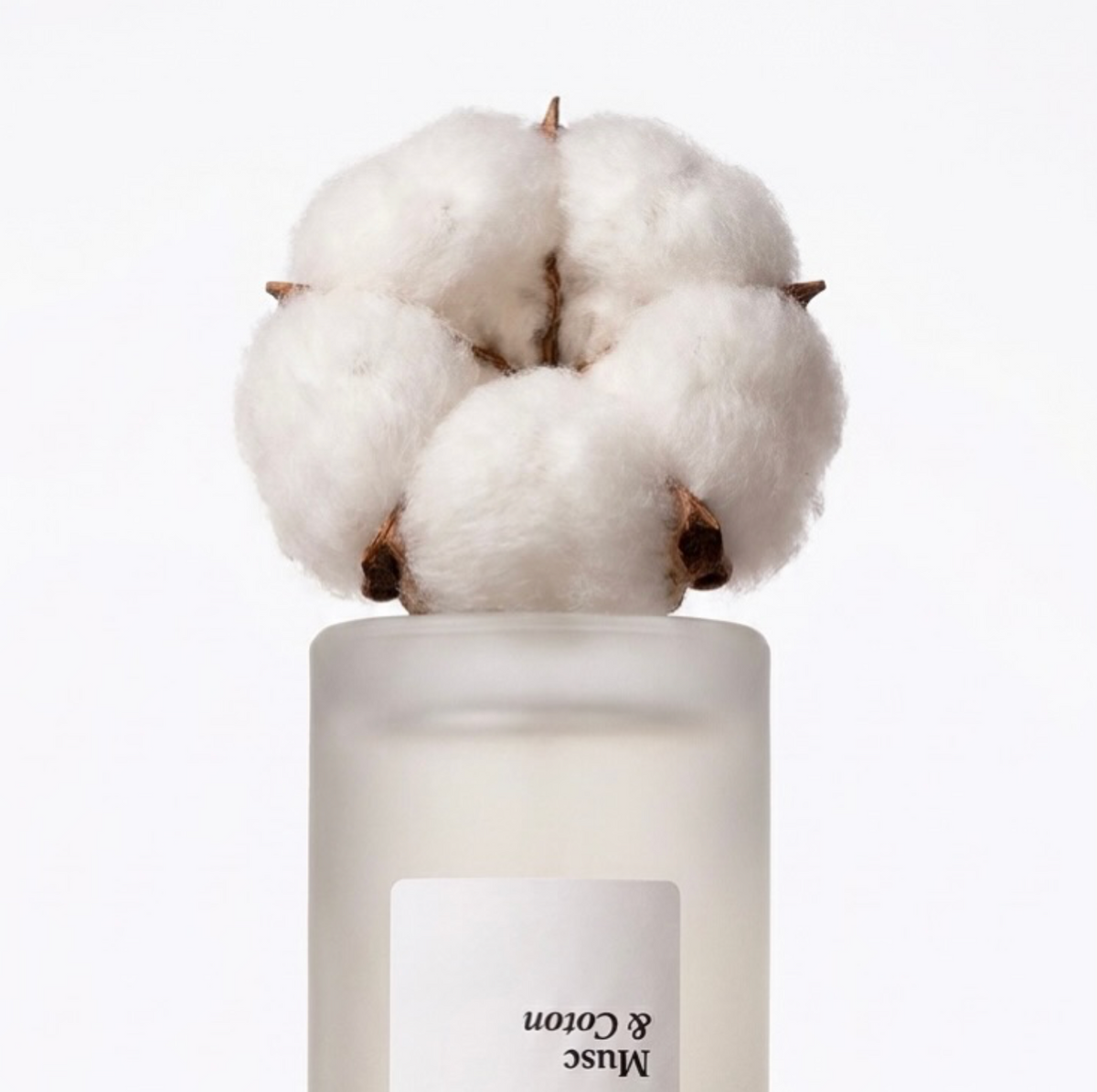 Flacon Eau de Parfum Musc & Coton Véronika Loubry 50 ml