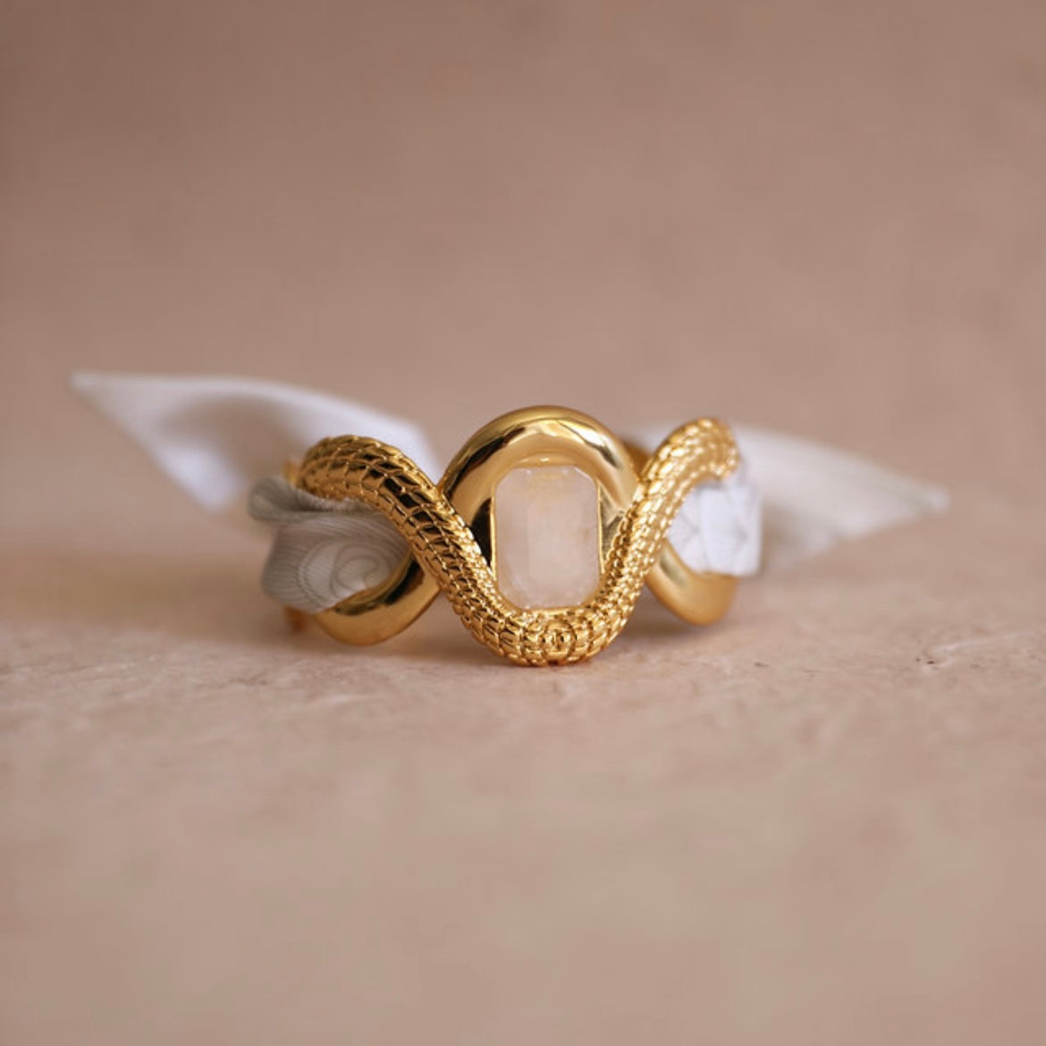 ruban-paon4cm-annee-divinity-sete